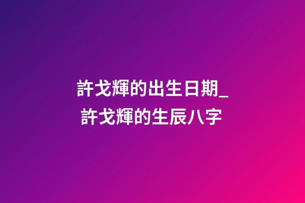 許戈輝的出生日期_ 許戈輝的生辰八字